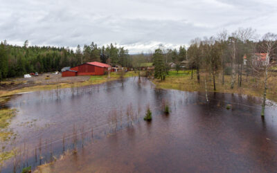 Hagarna blev till en sjö